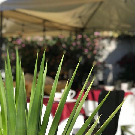Grace Valley Hotel Arequipa Ngoại thất bức ảnh
