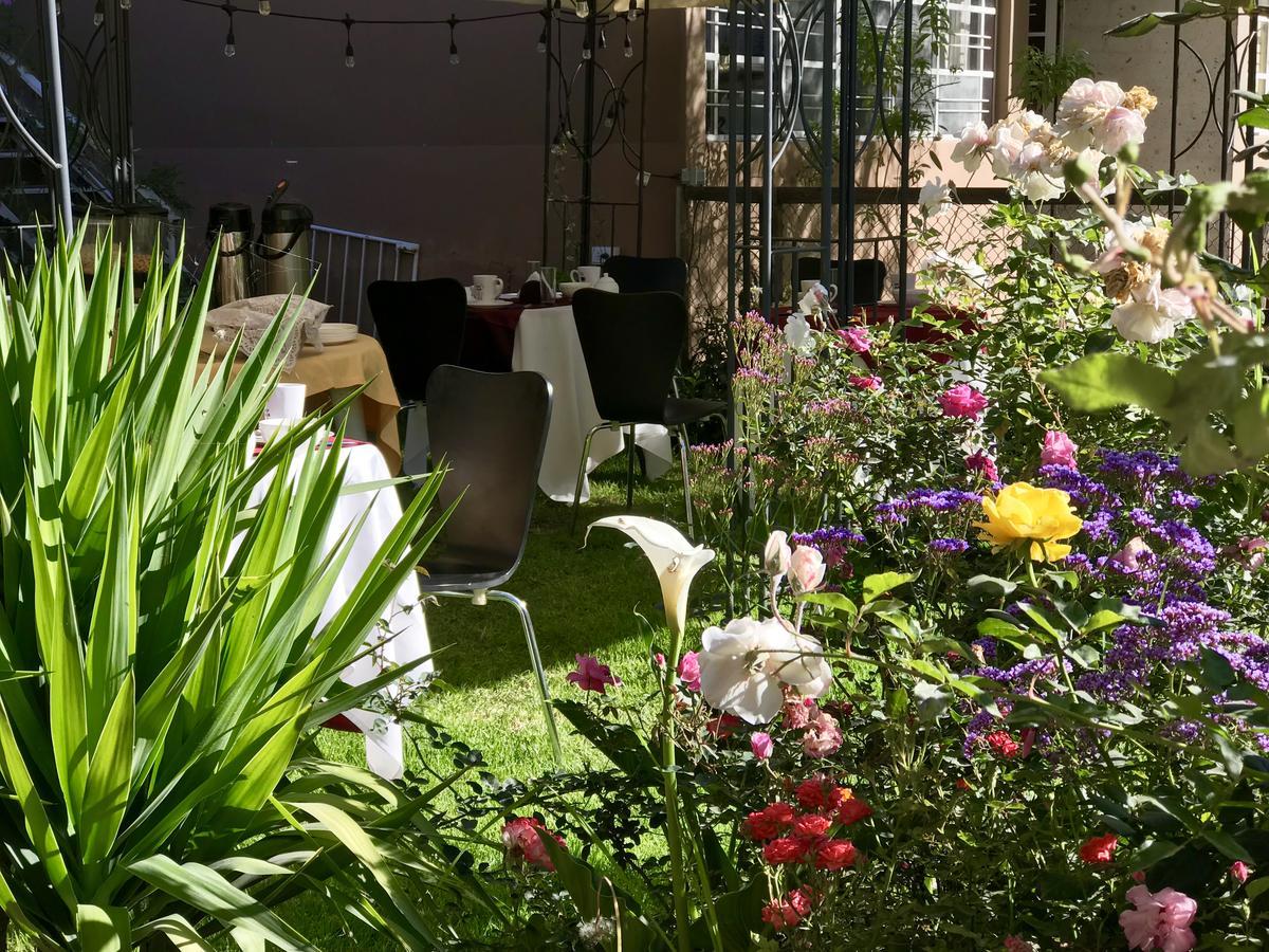 Grace Valley Hotel Arequipa Ngoại thất bức ảnh