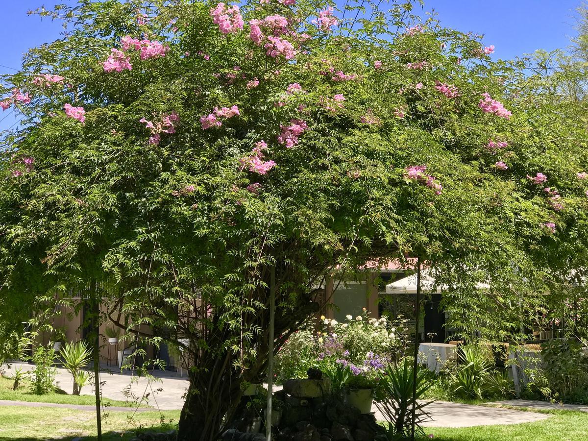Grace Valley Hotel Arequipa Ngoại thất bức ảnh