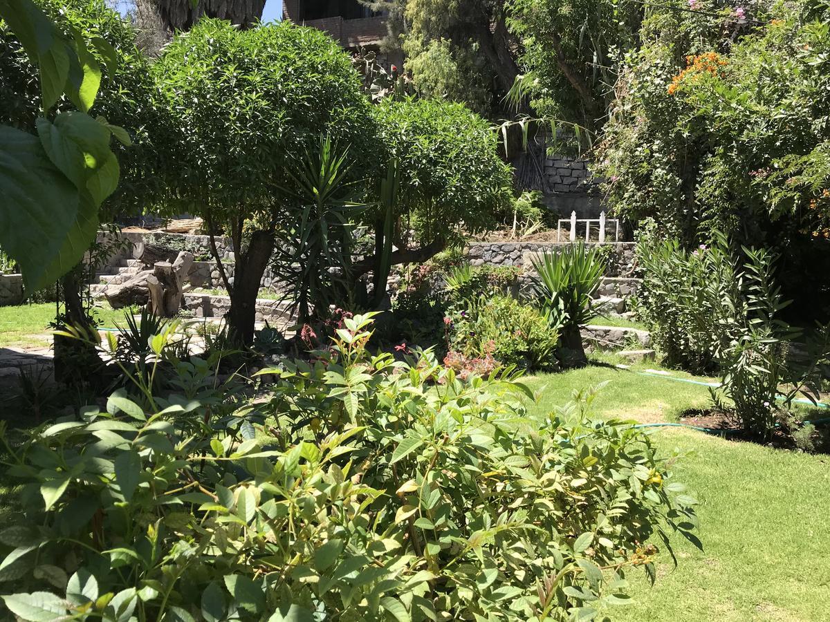 Grace Valley Hotel Arequipa Ngoại thất bức ảnh