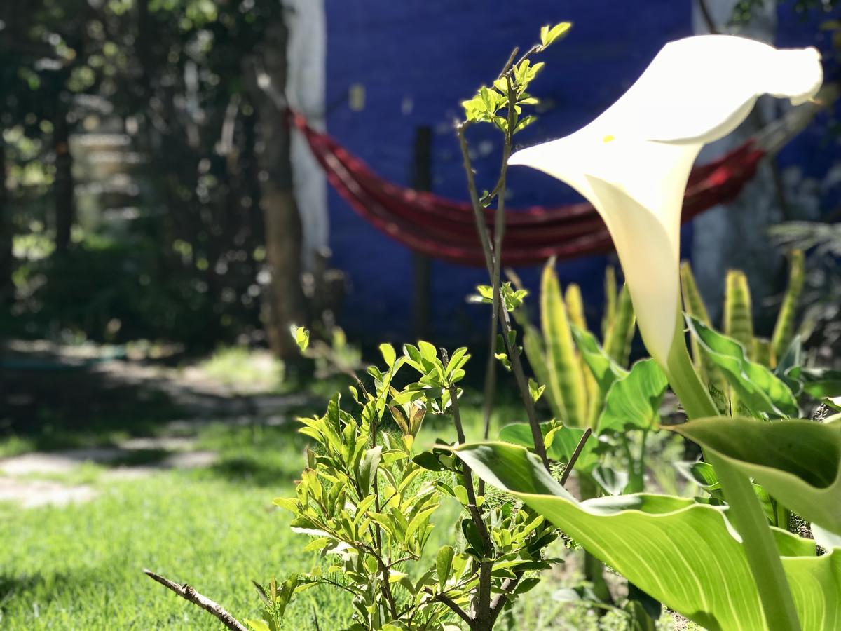 Grace Valley Hotel Arequipa Ngoại thất bức ảnh