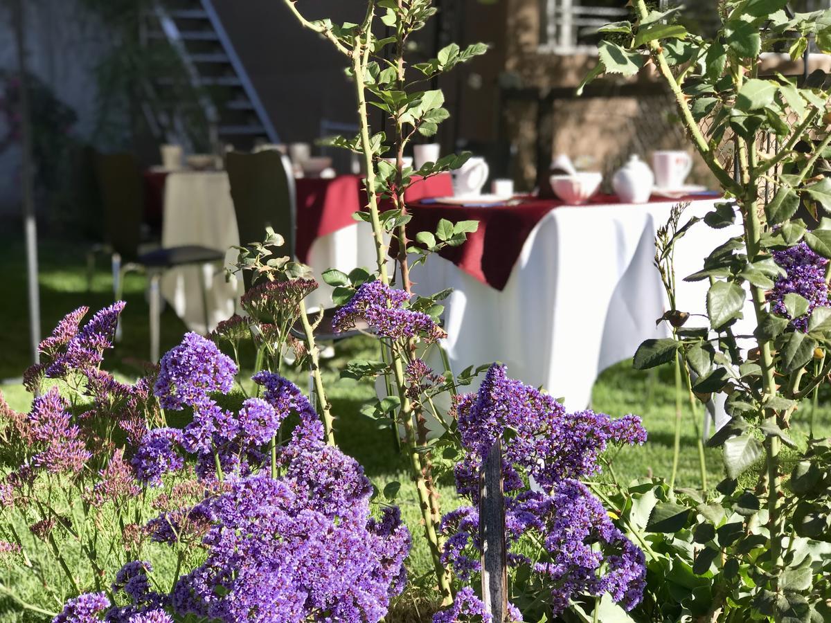 Grace Valley Hotel Arequipa Ngoại thất bức ảnh