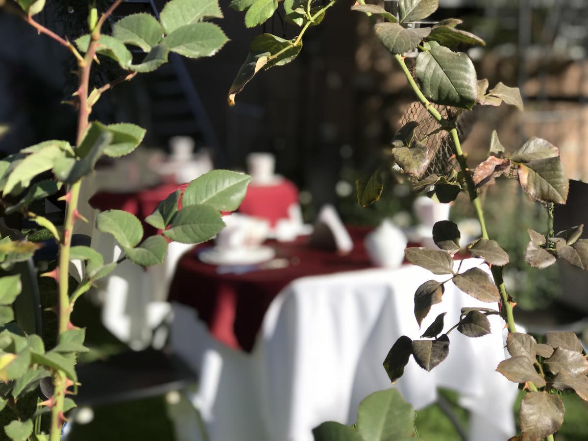 Grace Valley Hotel Arequipa Ngoại thất bức ảnh