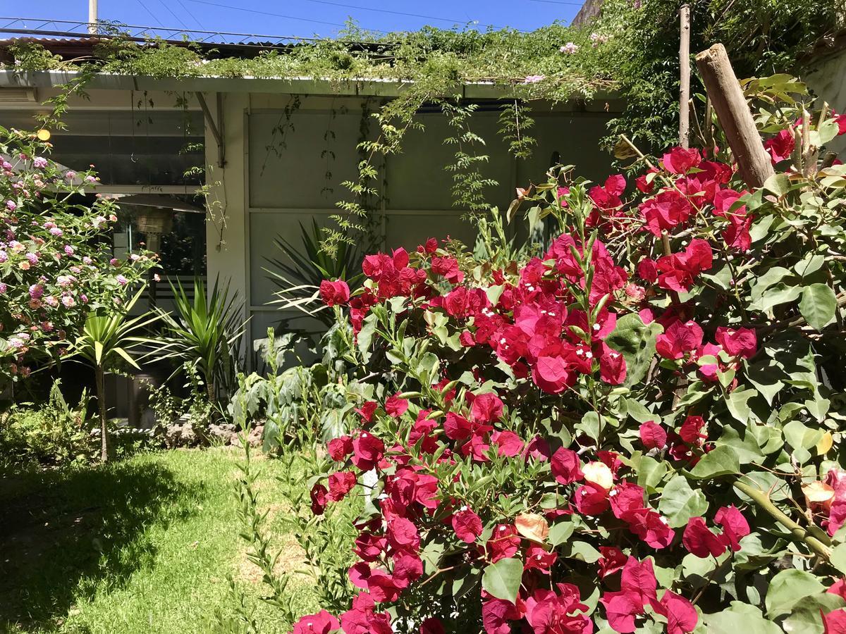 Grace Valley Hotel Arequipa Ngoại thất bức ảnh