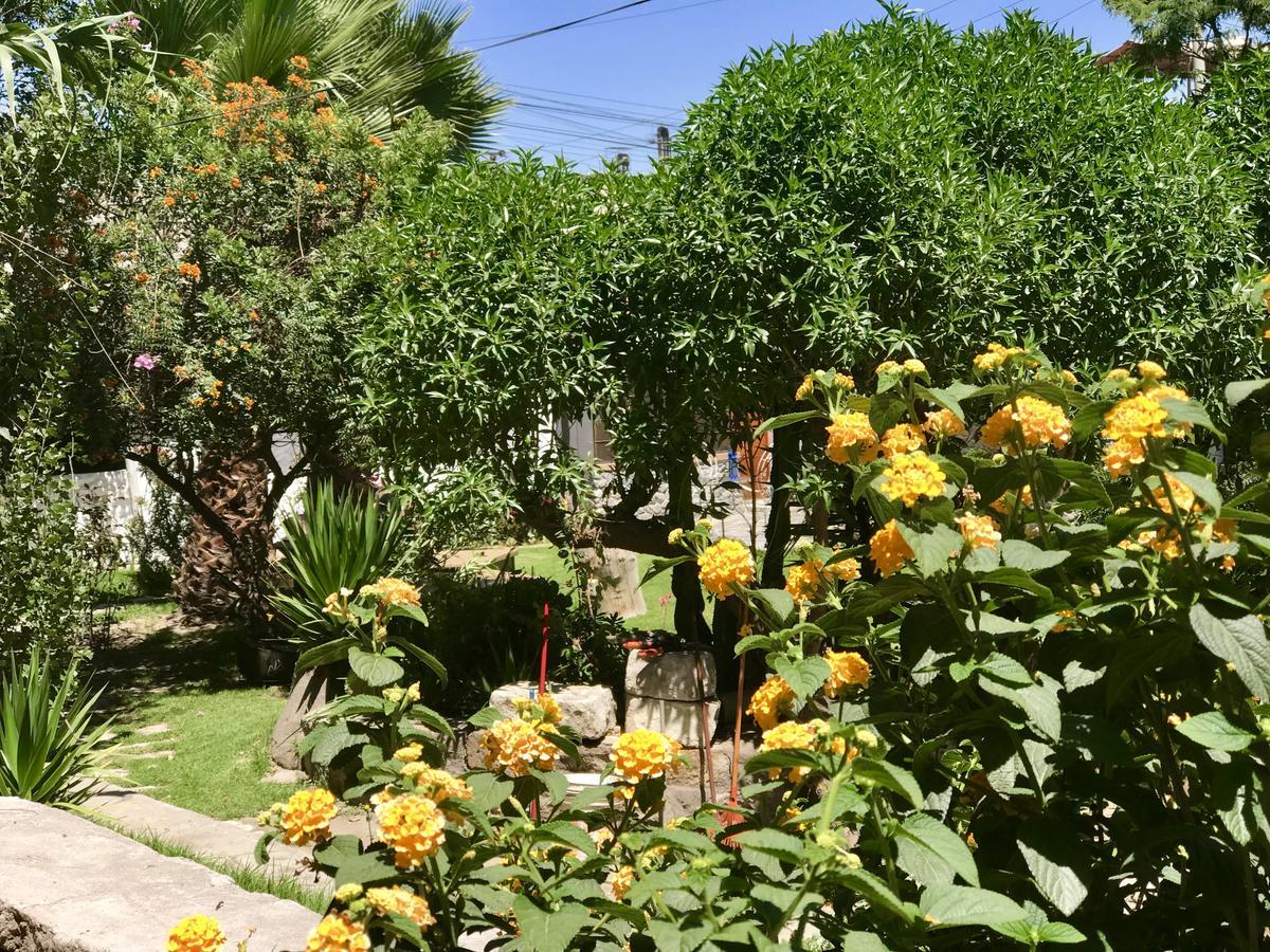 Grace Valley Hotel Arequipa Ngoại thất bức ảnh