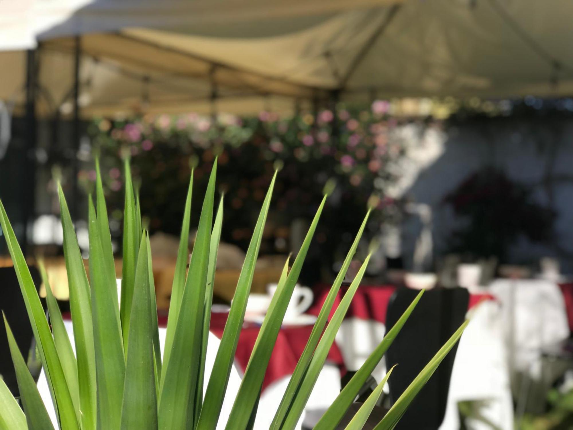 Grace Valley Hotel Arequipa Ngoại thất bức ảnh