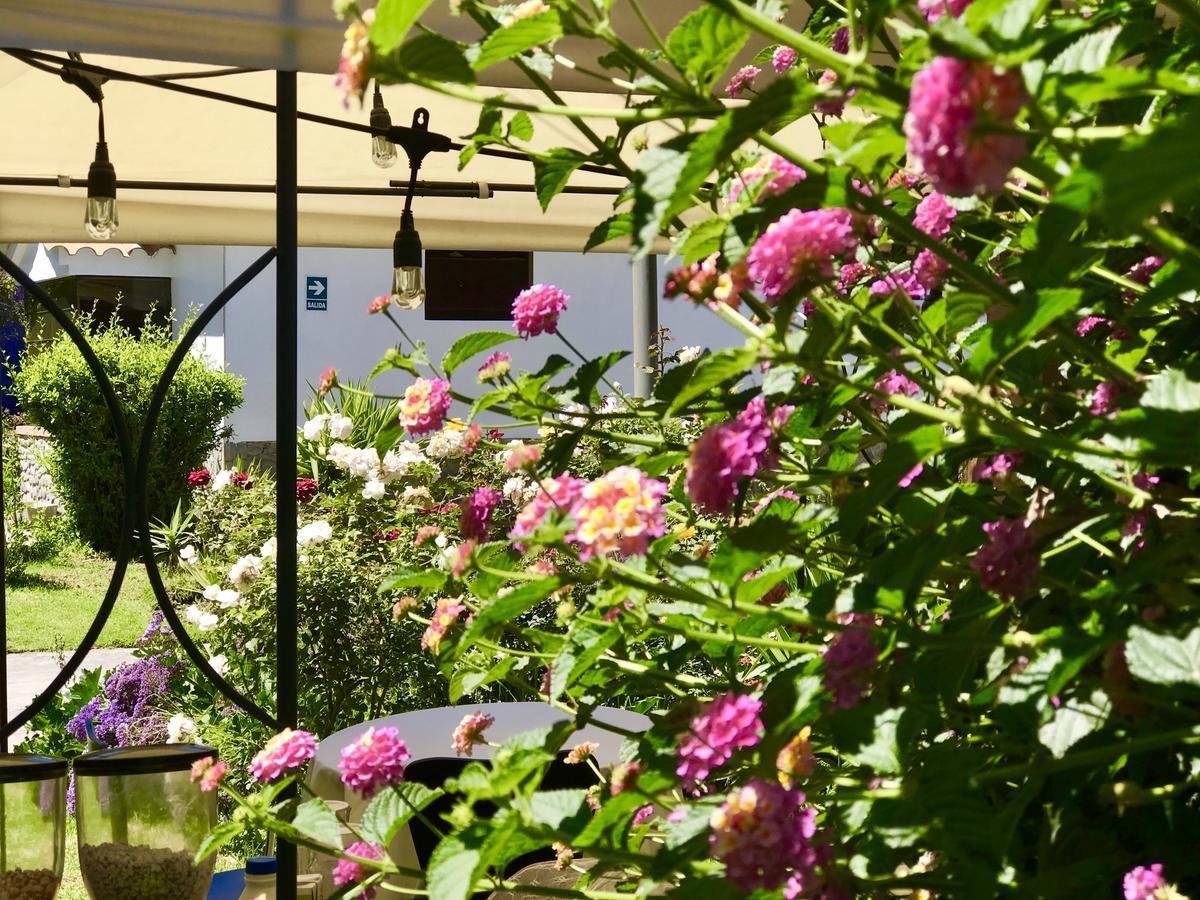 Grace Valley Hotel Arequipa Ngoại thất bức ảnh