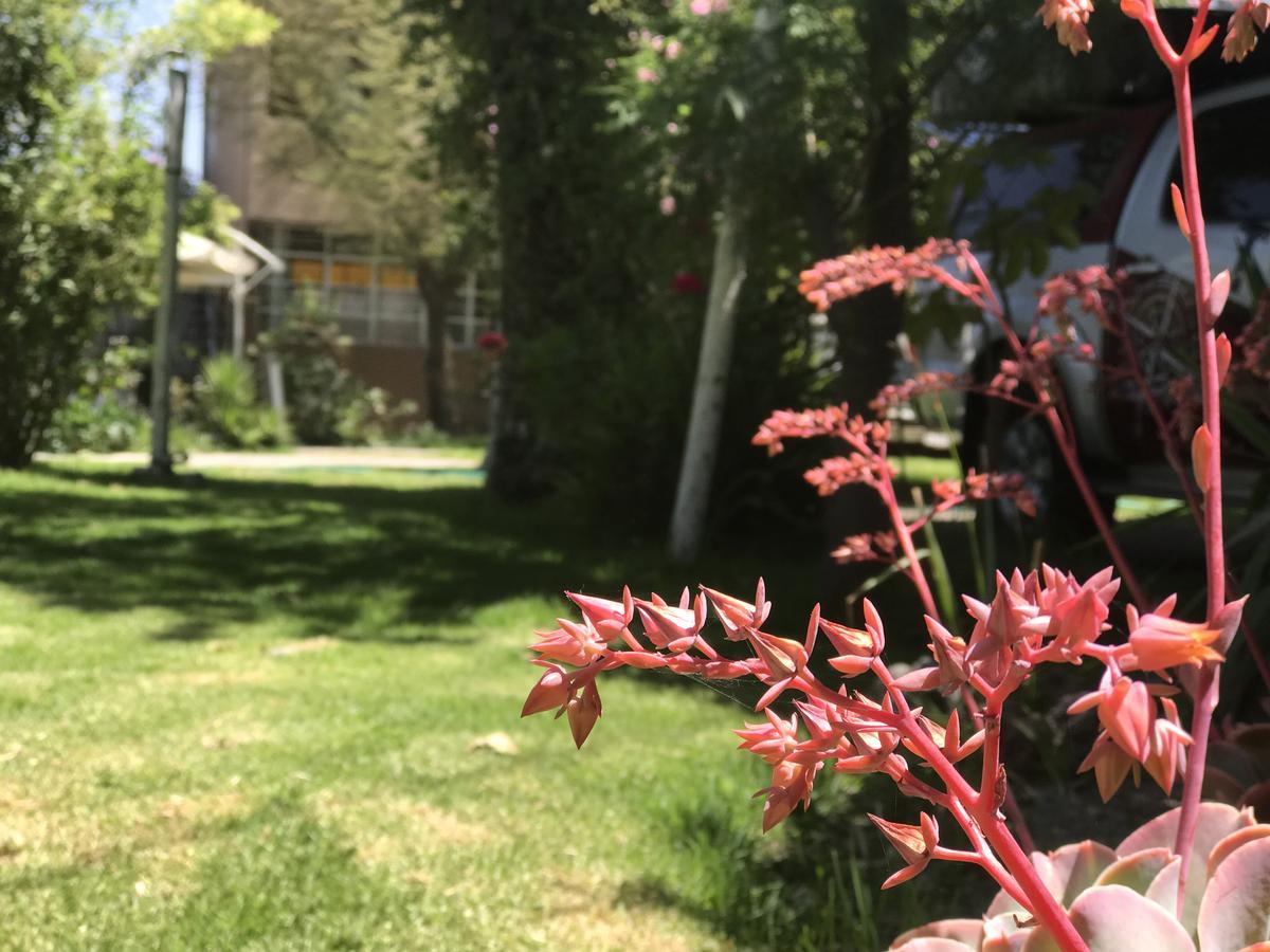Grace Valley Hotel Arequipa Ngoại thất bức ảnh