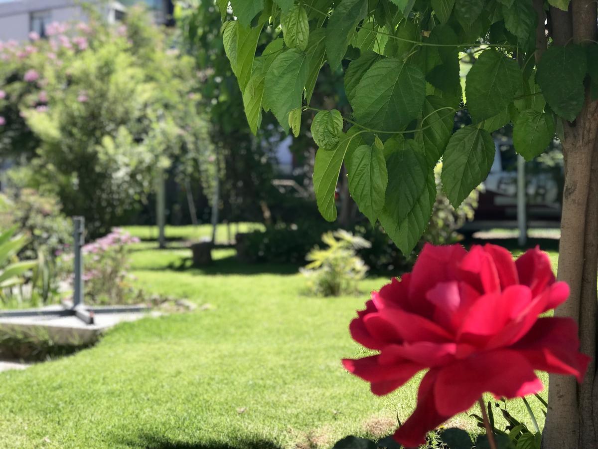 Grace Valley Hotel Arequipa Ngoại thất bức ảnh